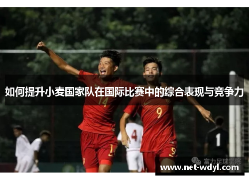 如何提升小麦国家队在国际比赛中的综合表现与竞争力