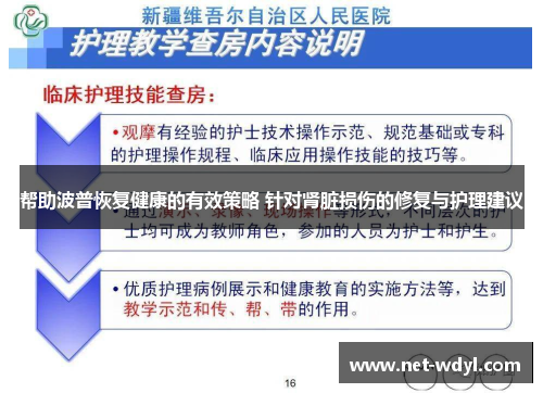帮助波普恢复健康的有效策略 针对肾脏损伤的修复与护理建议 帮助波普恢复健康的有效策略 针对肾脏损伤的修复与护理建议