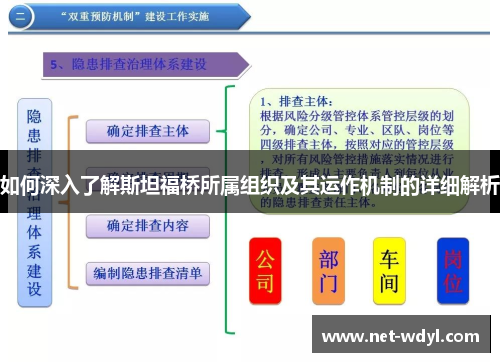如何深入了解斯坦福桥所属组织及其运作机制的详细解析 如何深入了解斯坦福桥所属组织及其运作机制的详细解析