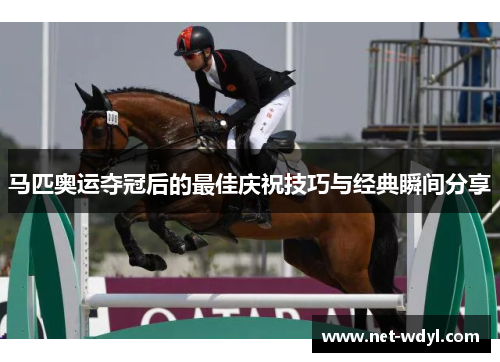 马匹奥运夺冠后的最佳庆祝技巧与经典瞬间分享 马匹奥运夺冠后的最佳庆祝技巧与经典瞬间分享