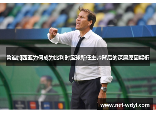 鲁迪加西亚为何成为比利时足球新任主帅背后的深层原因解析