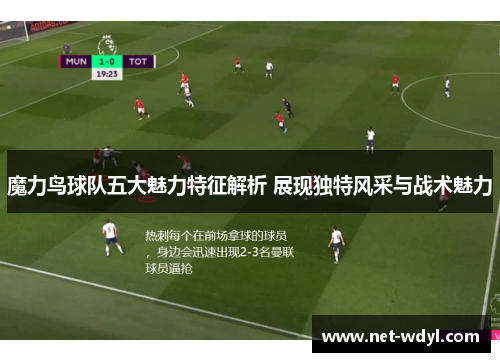 魔力鸟球队五大魅力特征解析 展现独特风采与战术魅力 魔力鸟球队五大魅力特征解析 展现独特风采与战术魅力