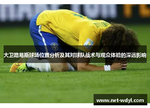 大卫路易斯球场位置分析及其对球队战术与观众体验的深远影响