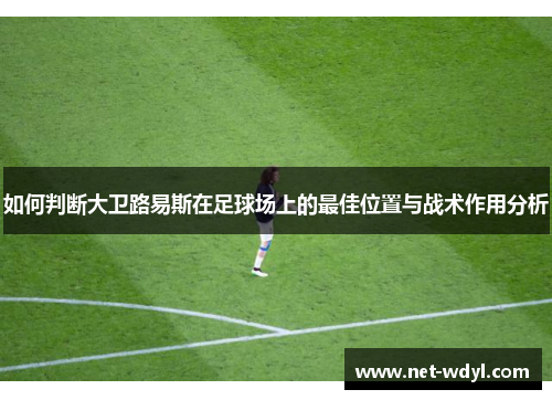 如何判断大卫路易斯在足球场上的最佳位置与战术作用分析
