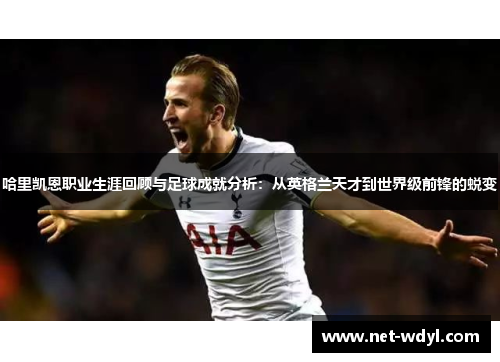 哈里凯恩职业生涯回顾与足球成就分析：从英格兰天才到世界级前锋的蜕变